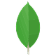 MongoDB